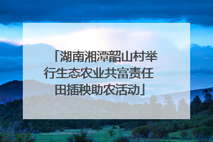 湖南湘潭韶山村举行生态农业共富责任田插秧助农活动